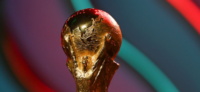 فيفا يكشف نظام بطولة كأس العالم 2026